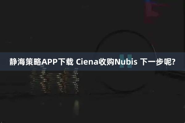 静海策略APP下载 Ciena收购Nubis 下一步呢?