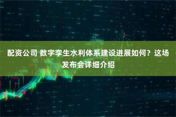 配资公司 数字孪生水利体系建设进展如何？这场发布会详细介绍