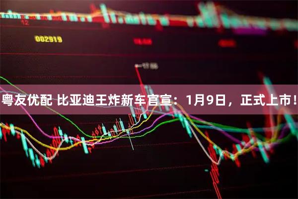 粤友优配 比亚迪王炸新车官宣：1月9日，正式上市！