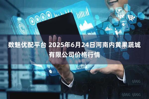 数魅优配平台 2025年6月24日河南内黄果蔬城有限公司价格行情
